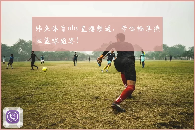 纬来体育nba直播频道，带你畅享热血篮球盛宴！