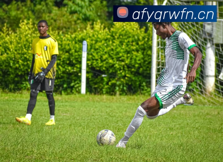 KAIYUN - 开云中国认证官方网站.com服务体系