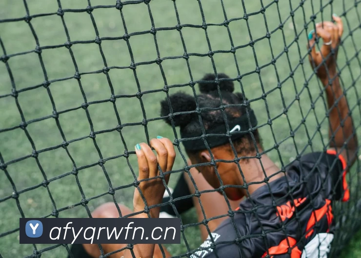 多媒体互动体验